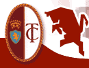 Torino Logo